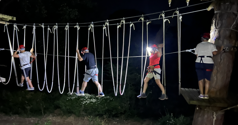 Notte stellata tra i pini